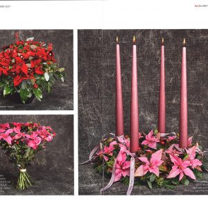 Birthes Blomster | Blomster Bladet December 2017